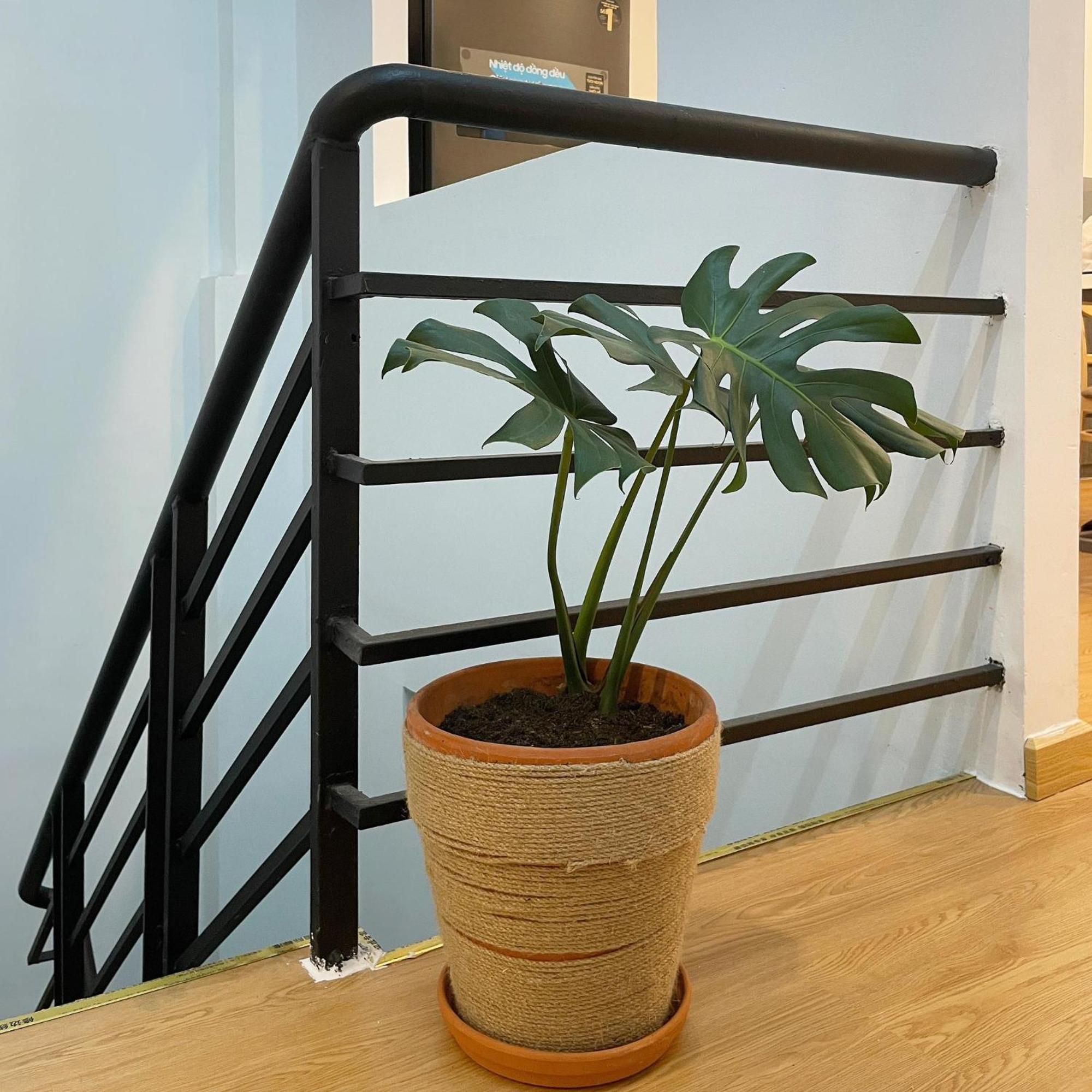 Alphabet Home Capsule مدينة هوشي منه المظهر الخارجي الصورة